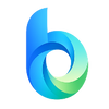 Custom cursor